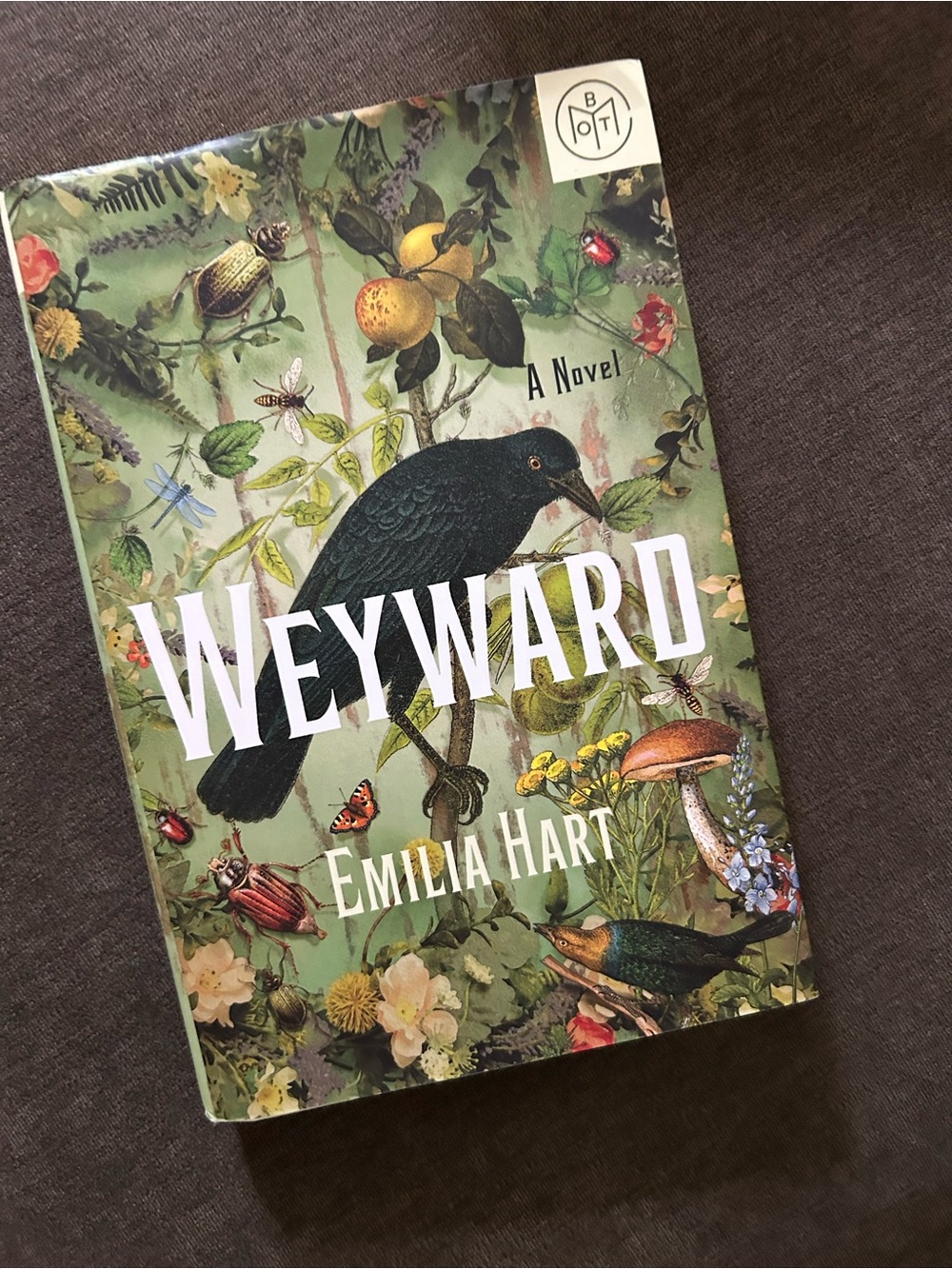 BOTM Weyward by Emilia Hart Book